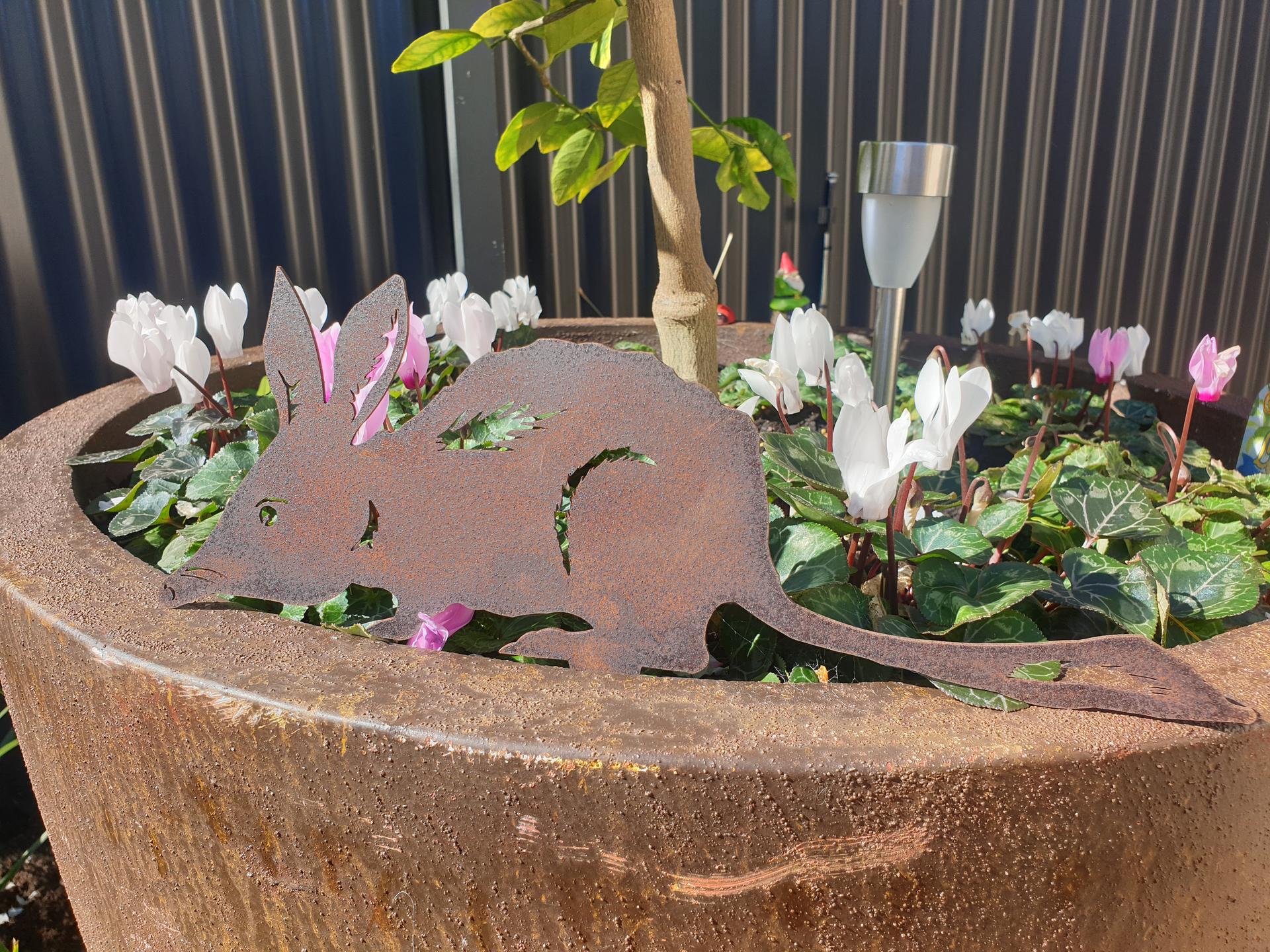 Bilby Garden Stake Australian Made Rusted Metal Garden Art Rusted