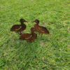 Walking Duck Family Garden Stakes - Australian Made Rusted Metal Garden Art - Image 3
