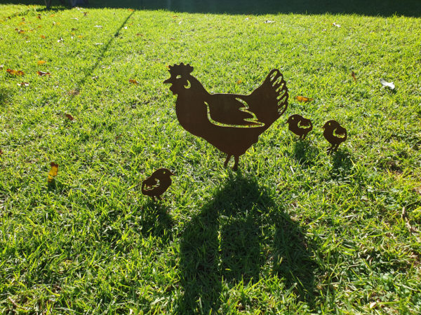 Standing Hen Family Garden Stake - Australian Made Rusted Metal Garden Art - Image 7