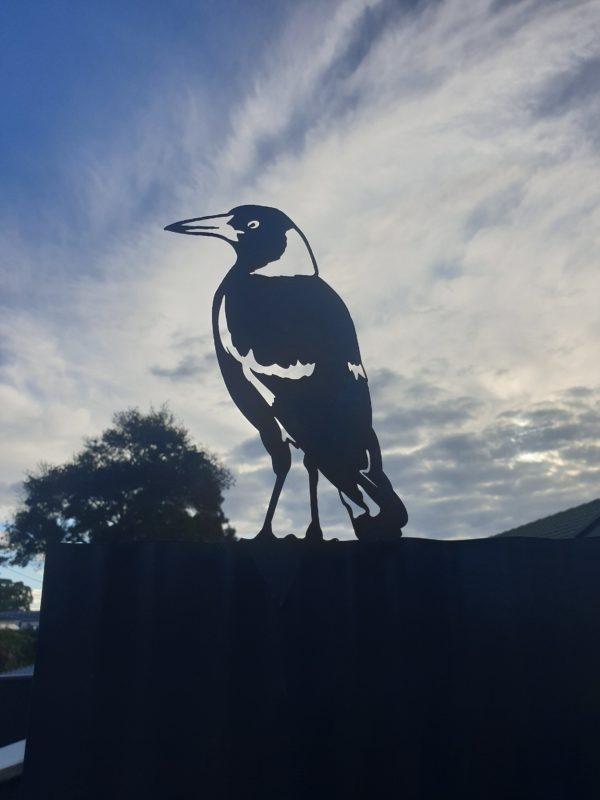 Magpie Standing Garden Stake - Australian Made Rusted Metal Garden Art - Image 3