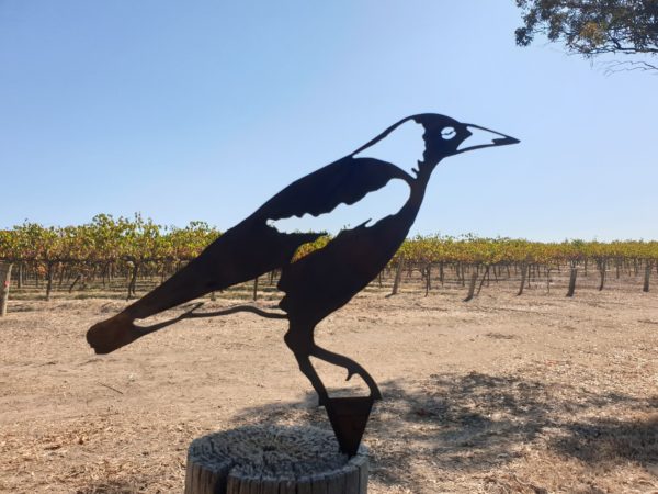 Magpie Garden Stake - Australian Made Rusted Metal Garden Art - Image 4