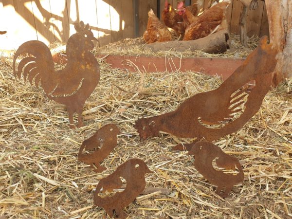 Pecking Hen Family Garden Stakes - Australian Made Rusted Metal Garden Art - Image 5