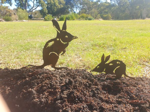 Bilby Standing Garden Stake - Australian Made Rusted Metal Garden Art - Image 4