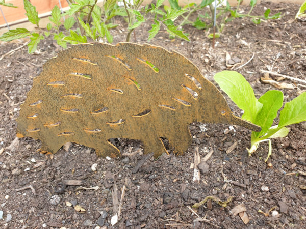 Echidna Garden Stake - Australian Made Rusted Metal Garden Art - Image 6