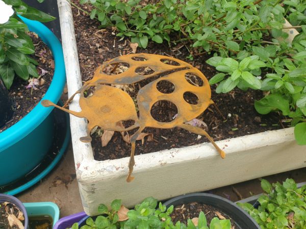 Ladybird - Australian Made Rusted Metal Garden Art - Image 5