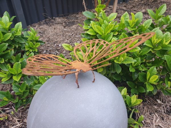 Butterfly #1 - Australian Made Rusted Metal Garden Art - Image 6