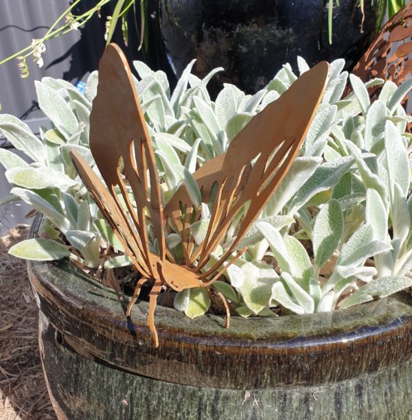 Butterfly #2 - Australian Made Rusted Metal Garden Art - Image 6