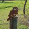 Kookaburra Post Topper - Australian Made Rusted Metal Garden Art - Image 4