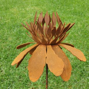 Waratah Flower Garden Stake featuring a 24 cm flower on a 69 cm rusted steel stake, inspired by the vibrant Australian Waratah bloom.