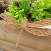 Dragonfly - Australian Made Rusted Metal Garden Art - Image 3