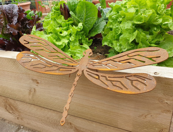 Dragonfly - Australian Made Rusted Metal Garden Art - Image 3
