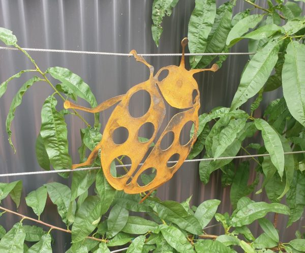Ladybird - Australian Made Rusted Metal Garden Art - Image 7