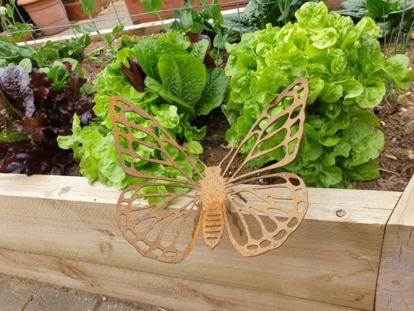 Butterfly #1 - Australian Made Rusted Metal Garden Art - Image 2