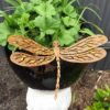 Dragonfly - Australian Made Rusted Metal Garden Art - Image 6