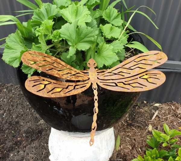 Dragonfly - Australian Made Rusted Metal Garden Art - Image 6