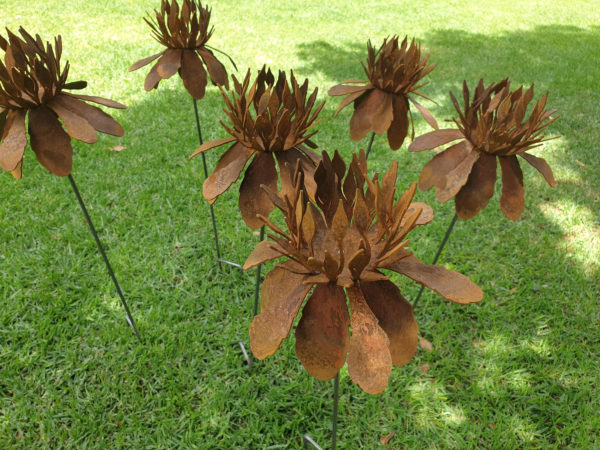 Waratah Flower Garden Stake - Australian Made Rusted Metal Garden Art - Image 6