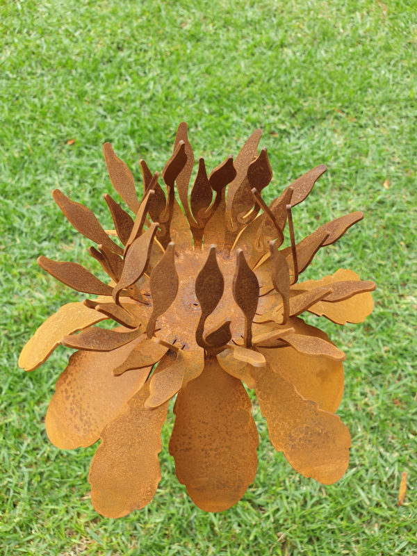 Waratah Flower Garden Stake - Australian Made Rusted Metal Garden Art - Image 4