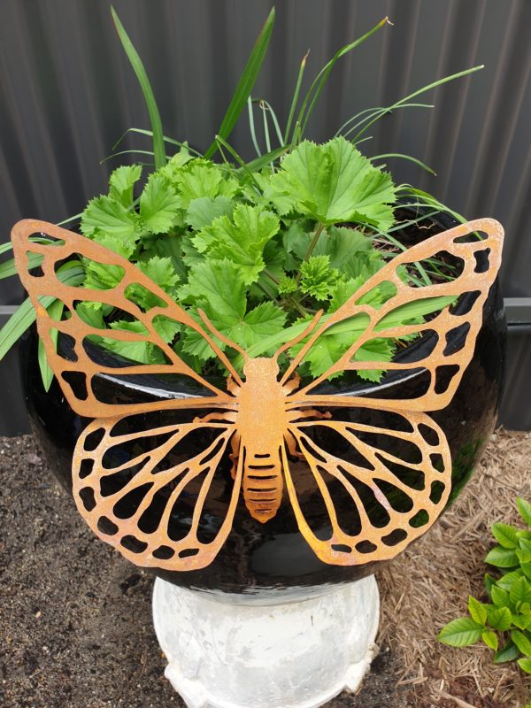 Butterfly #1 - Australian Made Rusted Metal Garden Art - Image 5