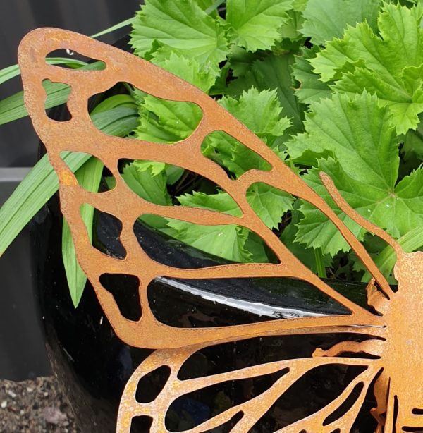 Butterfly #1 - Australian Made Rusted Metal Garden Art - Image 4