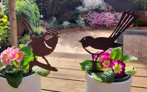 Superb Fairy Wren Pot Decoration - Australian Made Rusted Metal Garden Art - Image 6