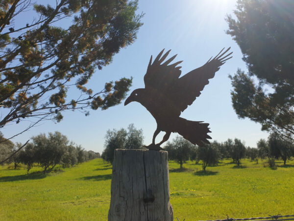 Crow Post Topper- Australian Made Rusted Metal Garden Art - Image 2