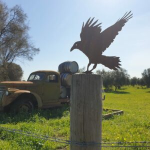 Crow Post Topper- Australian Made Rusted Metal Garden Art