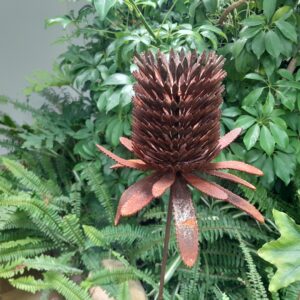 An Australian-made rusted metal Coastal Banksia Garden Stake featuring intricate laser-cut details, measuring 99 cm high and 20 cm wide.