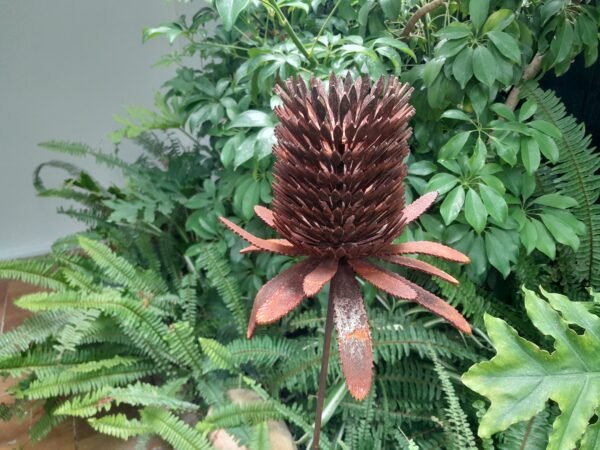 An Australian-made rusted metal Coastal Banksia Garden Stake featuring intricate laser-cut details, measuring 99 cm high and 20 cm wide.